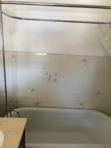 378 ba tub and shower